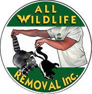 All WildLife Removal Inc.