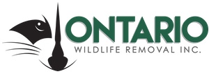 Ontario Wildlife Removal