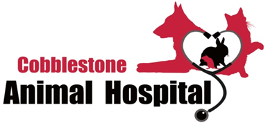 Cobblestone Animal Hospital