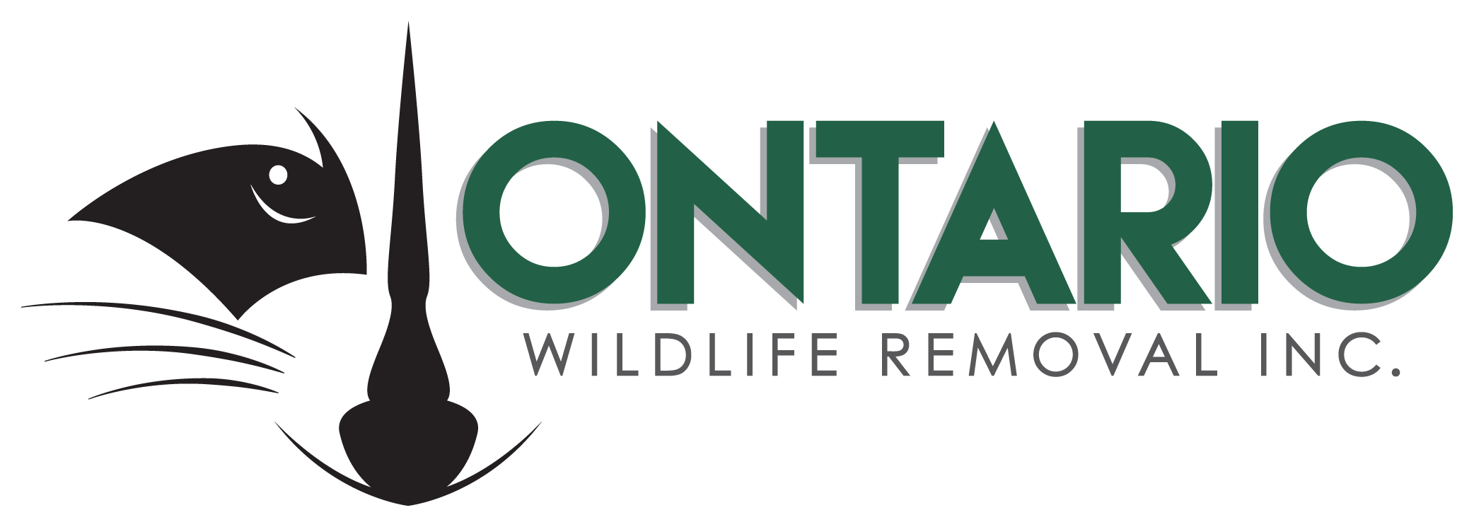 Ontario Wildlife Removal