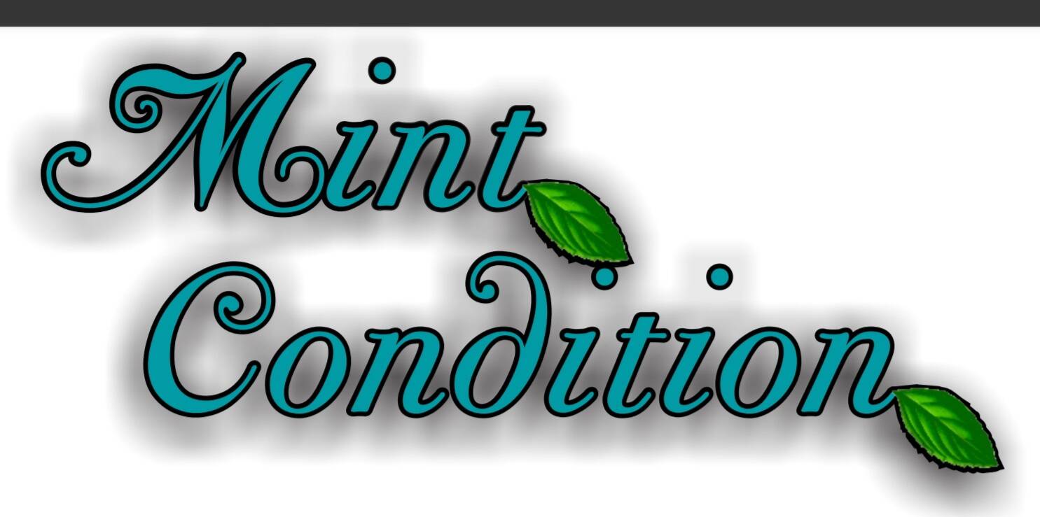 MINT CONDITION AUTO DETAILING