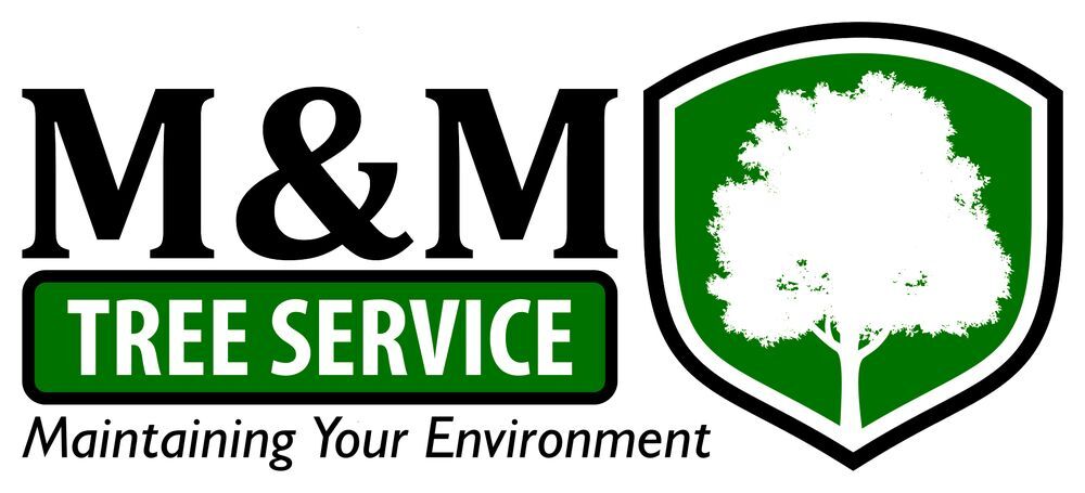 M&M TREE SERVICE